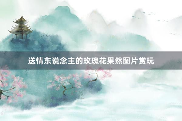 送情东说念主的玫瑰花果然图片赏玩