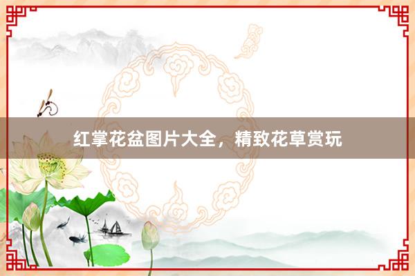 红掌花盆图片大全，精致花草赏玩